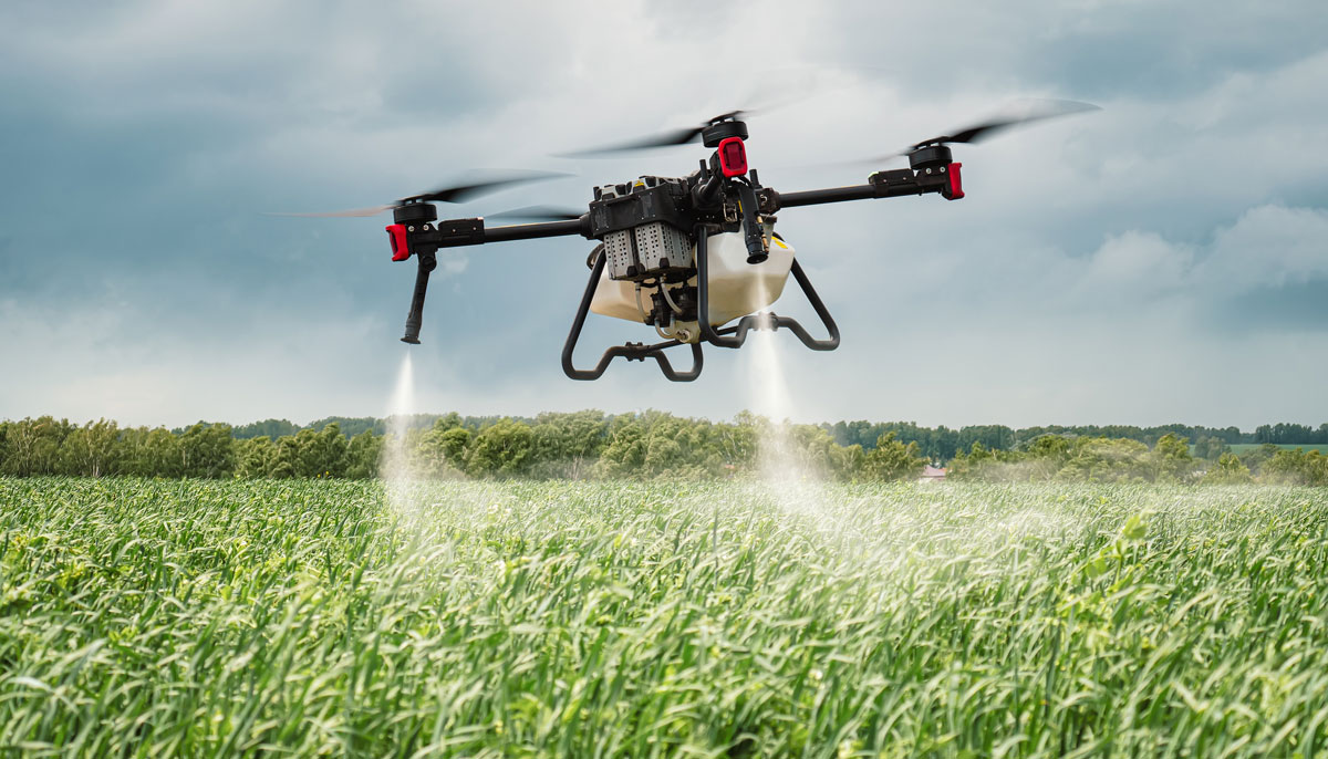 red ball print on transparent image